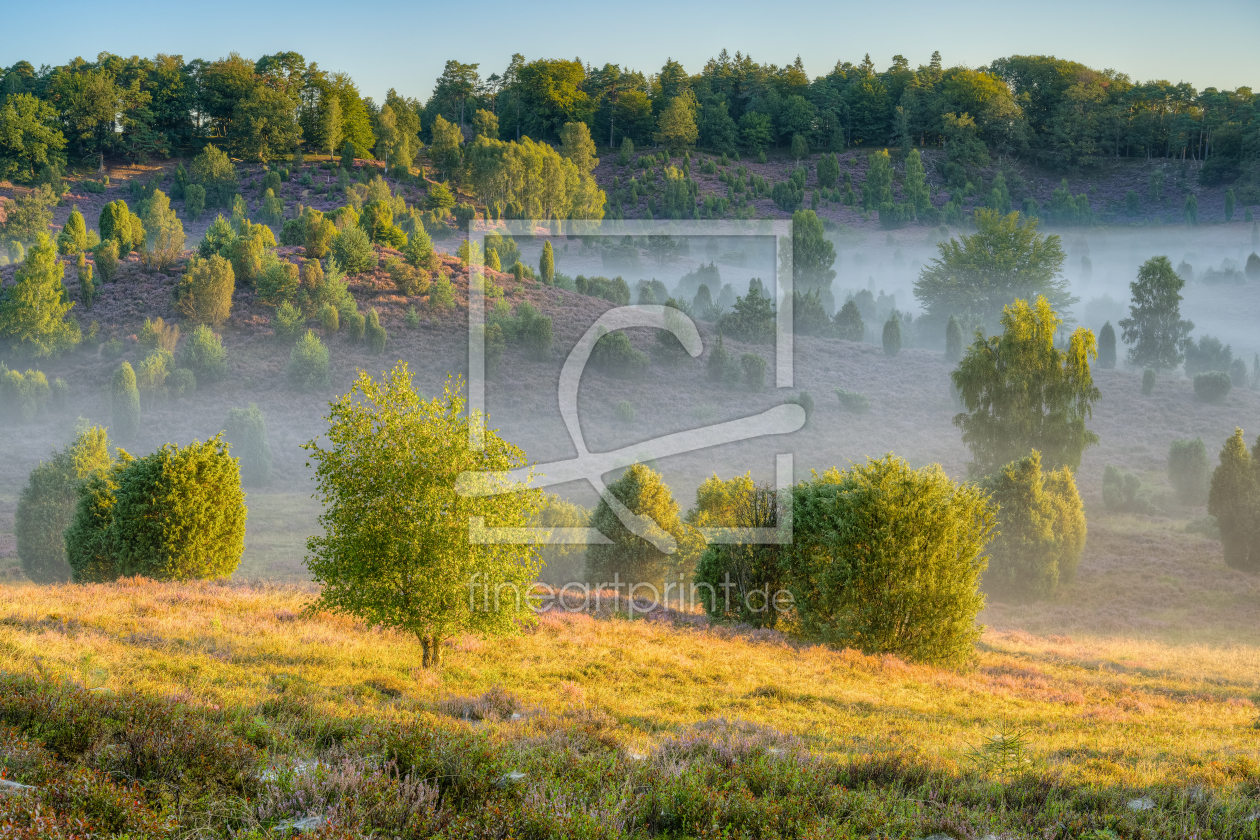 Bild-Nr.: 12395314 Morgens in der Lüneburger Heide erstellt von Michael Valjak