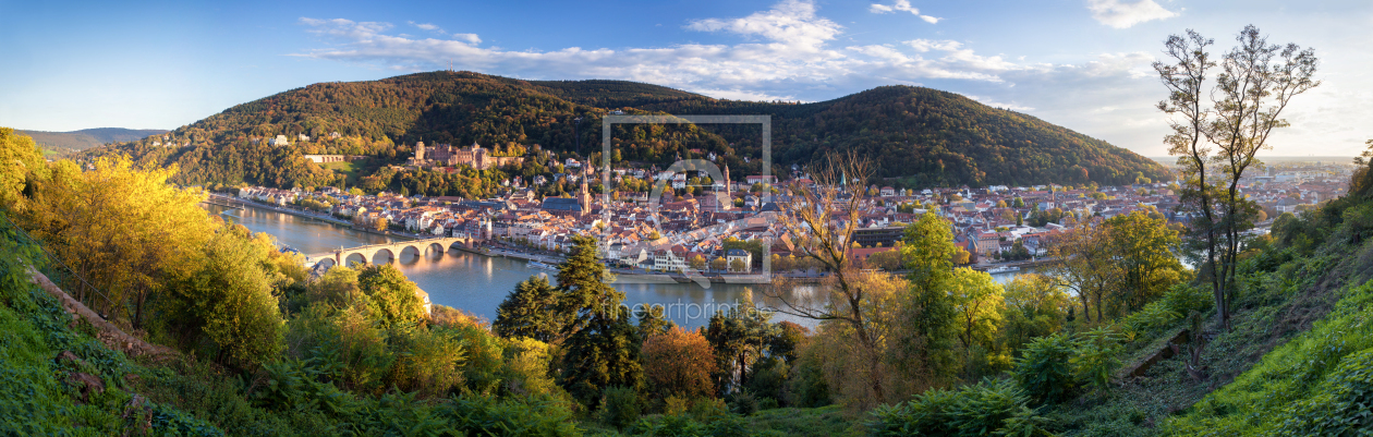 Bild-Nr.: 12403953 Heidelberg Panorama im Herbst erstellt von eyetronic