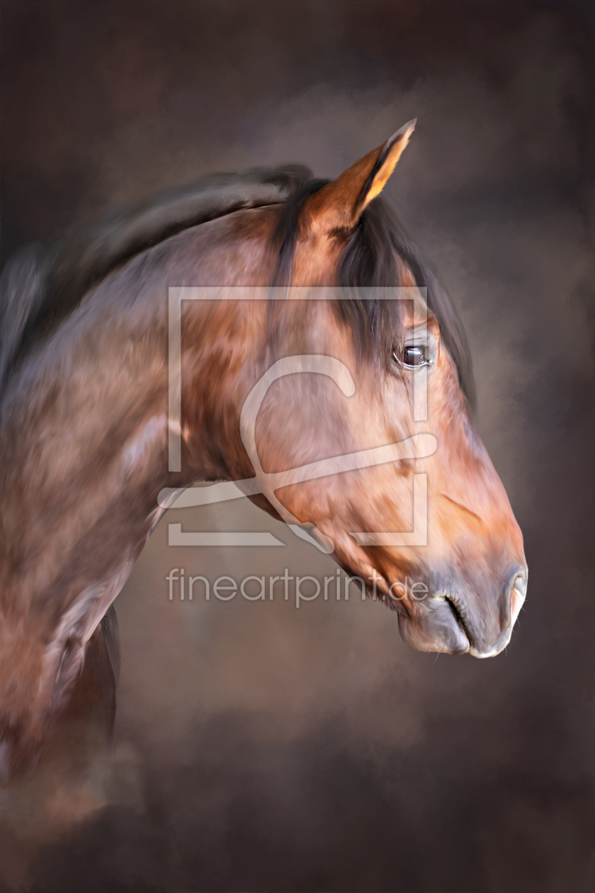 Bild-Nr.: 12404498 Pferdeportrait IIX erstellt von Val Thoermer