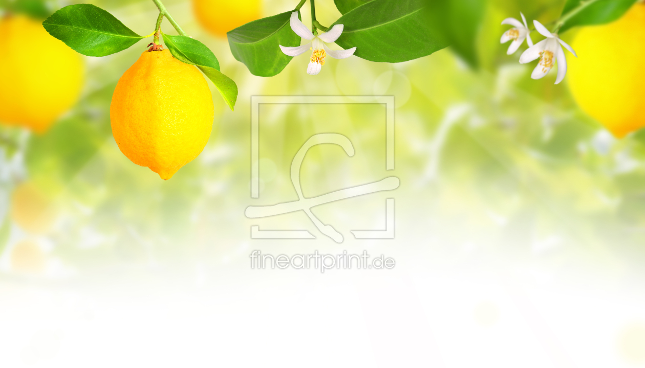 Bild-Nr.: 12404535 Zitronenplantage erstellt von Terra-one