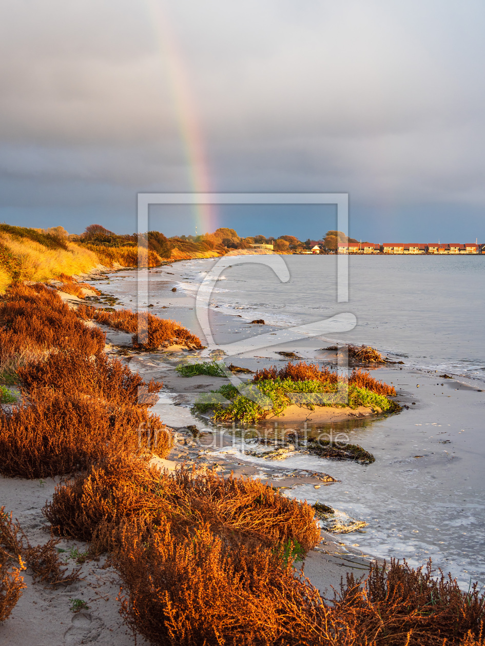 Bild-Nr.: 12404966 Ostseeküste auf der Insel Moen in Dänemark erstellt von Rico Ködder
