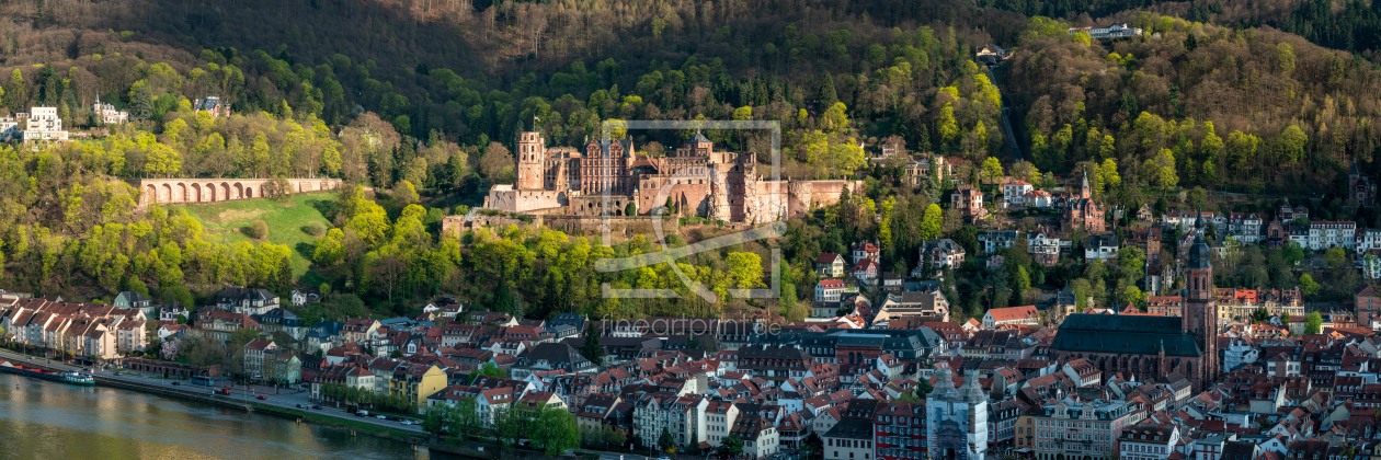 Bild-Nr.: 12405252 Heidelberg Altstadt Panorama  erstellt von eyetronic