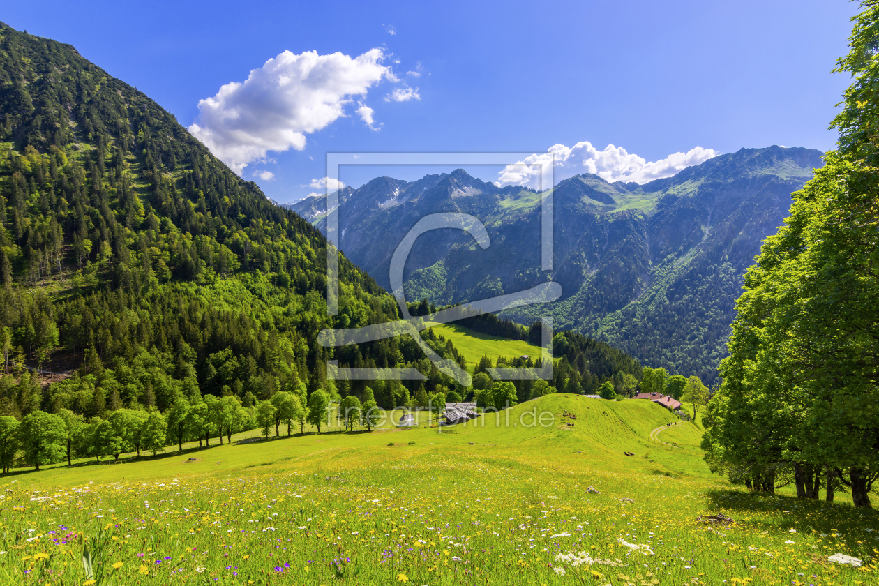 Bild-Nr.: 12416530 Sommerliche Allgäuer Alpen bei Gerstruben erstellt von Andreas Föll