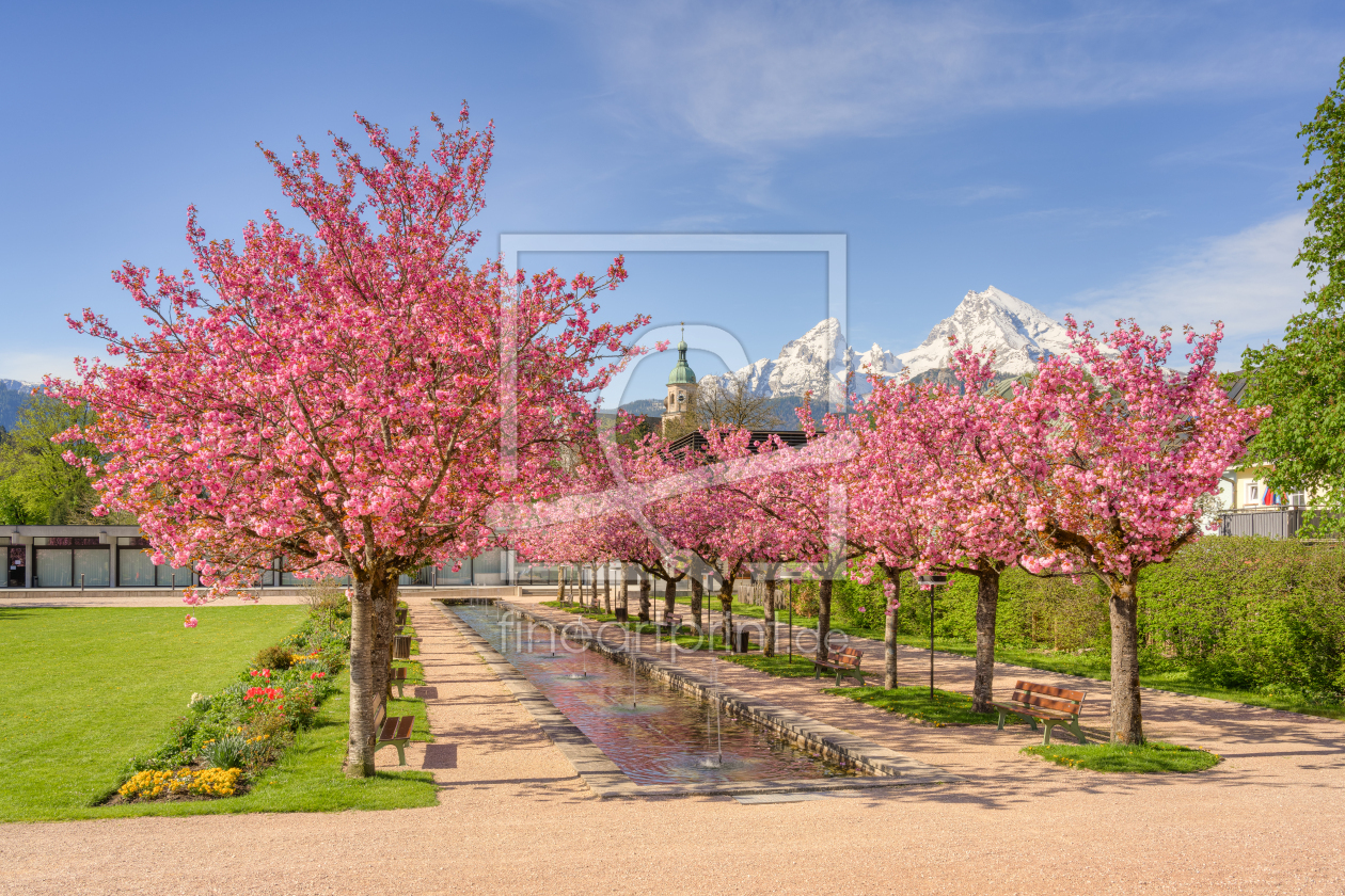 Bild-Nr.: 12428997 Kirschblüte in Berchtesgaden  erstellt von Michael Valjak