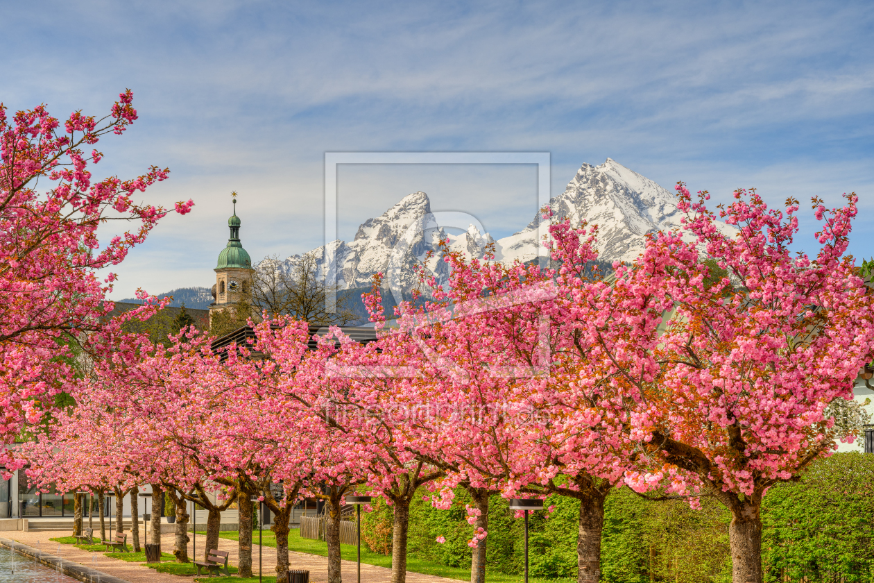 Bild-Nr.: 12431553 Berchtesgaden Kirschblüte vor Watzmann erstellt von Michael Valjak