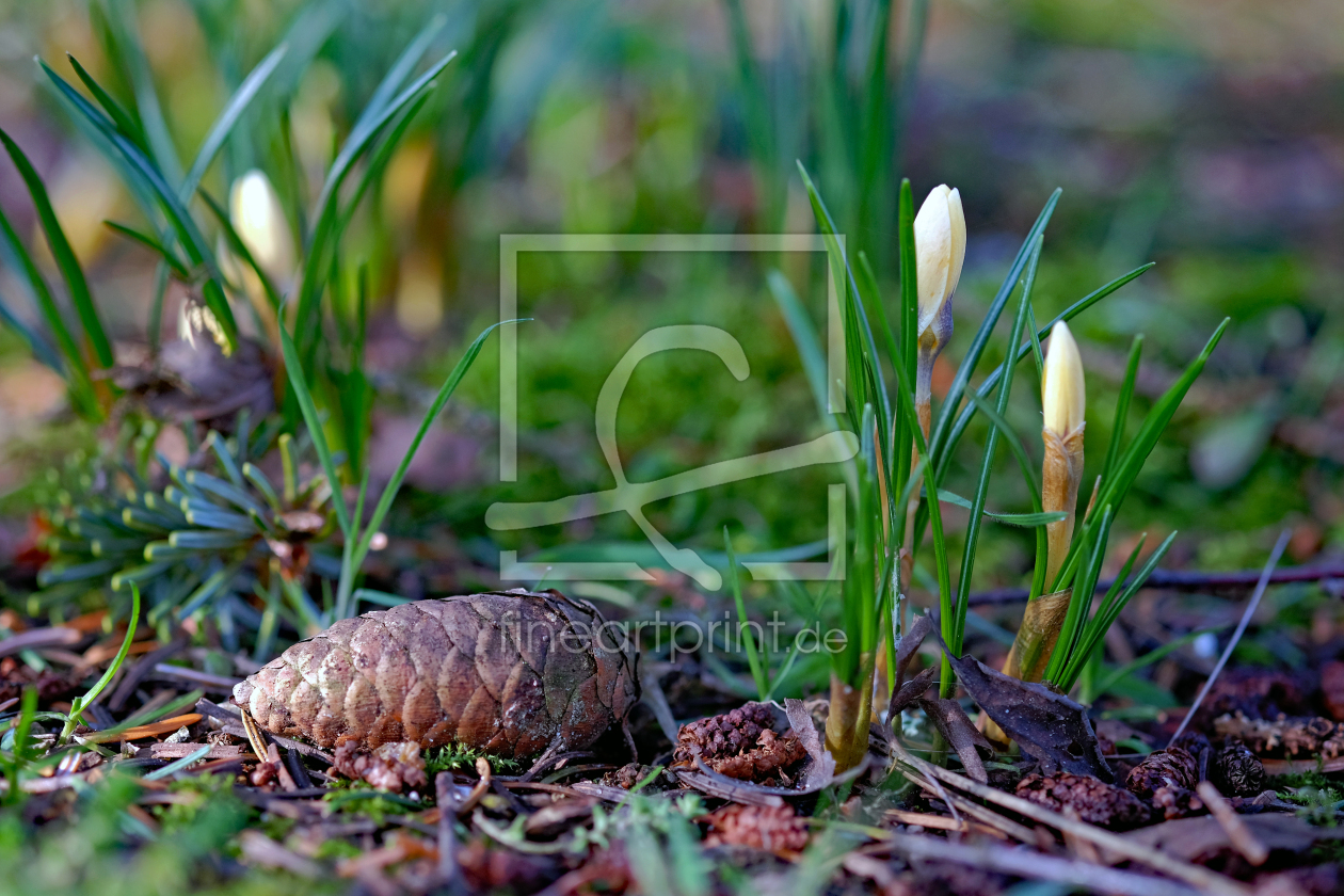 Bild-Nr.: 12449103 Frühjahr erstellt von Ostfriese