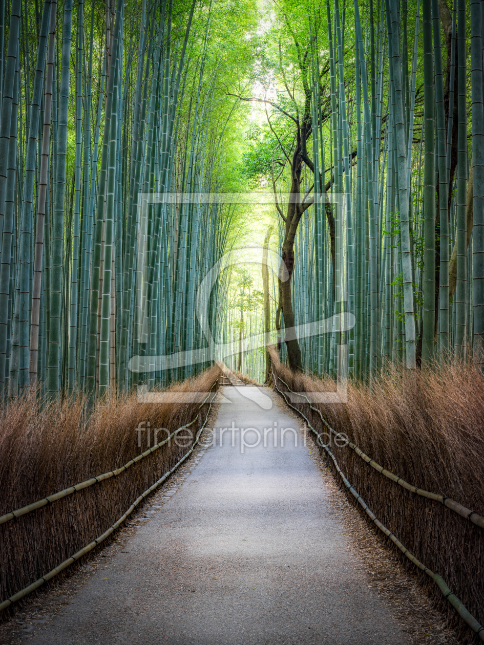 Bild-Nr.: 12449296 Bambuswald in Arashiyama erstellt von eyetronic