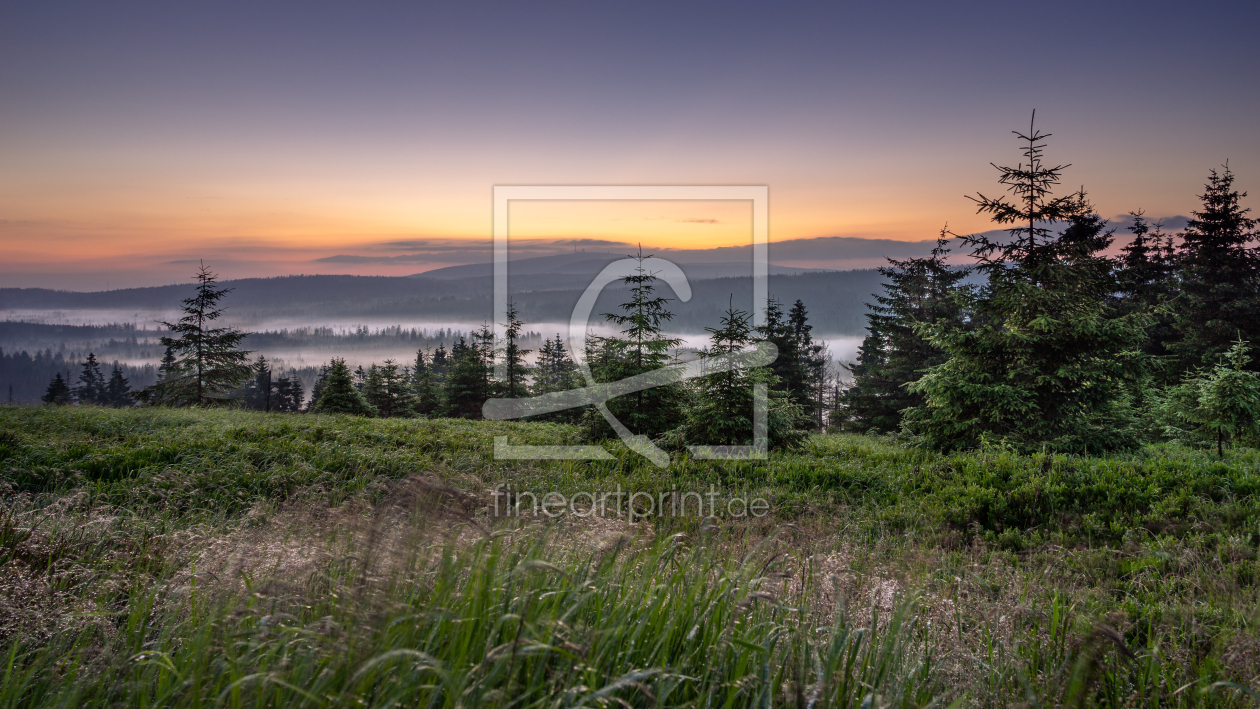 Bild-Nr.: 12451646 Nebel im Morgen erstellt von Steffen Henze