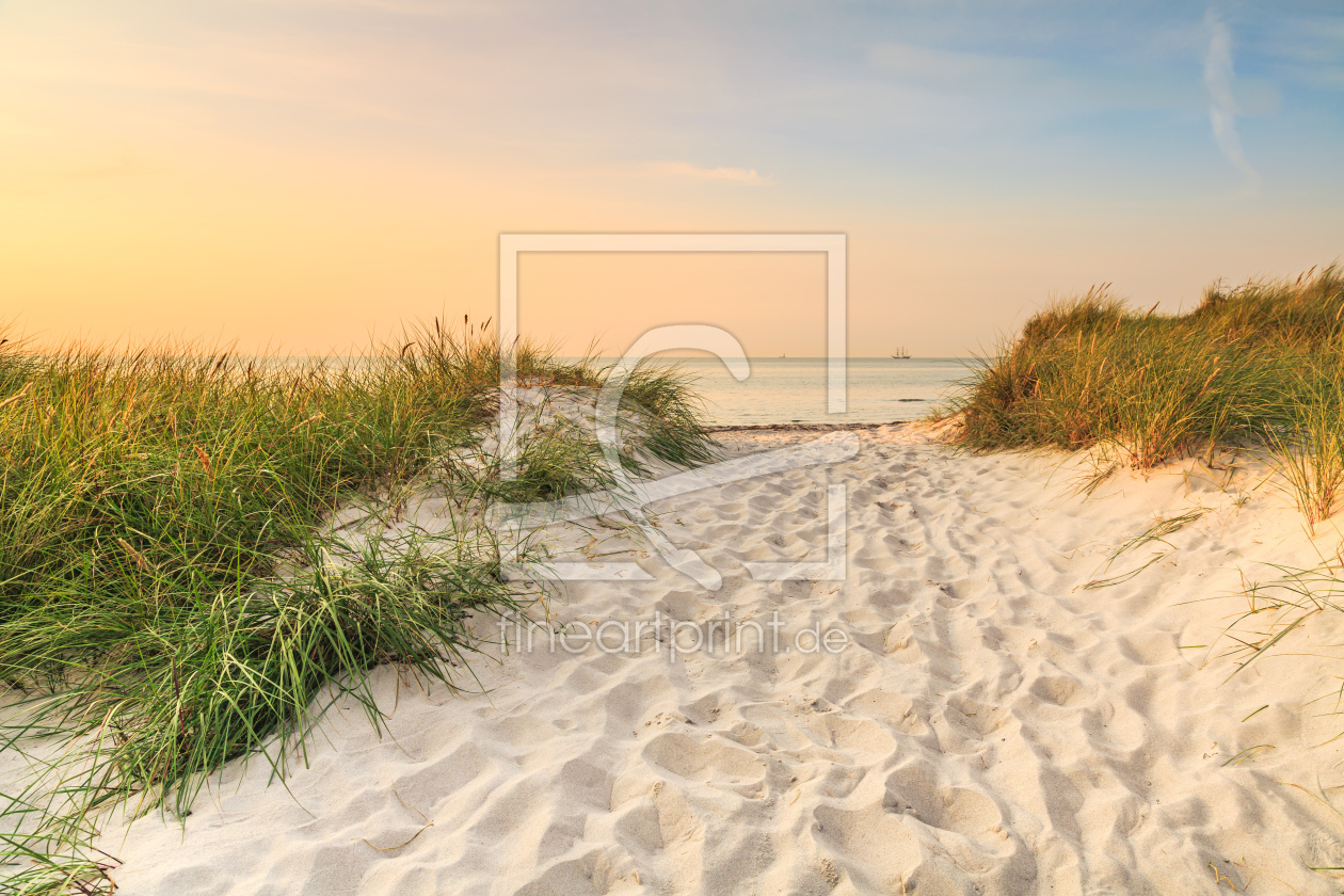 Bild-Nr.: 12480458 Stranddünen erstellt von Ursula Reins