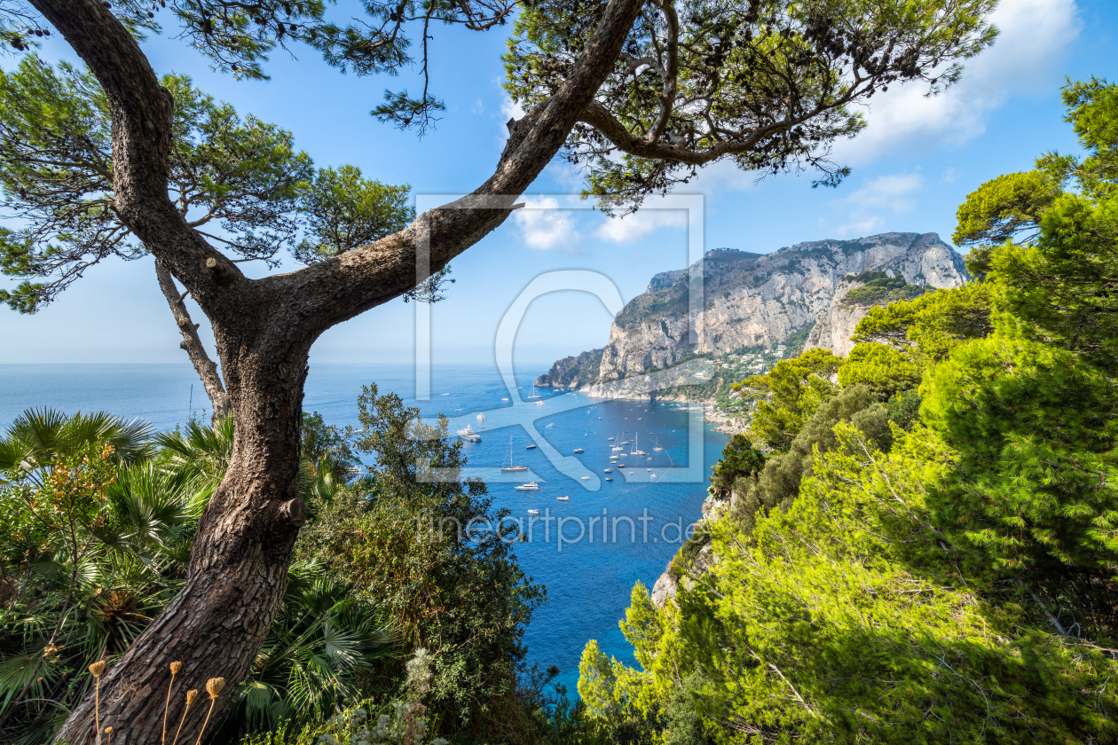 Bild-Nr.: 12485322 Capri im Sommer erstellt von eyetronic