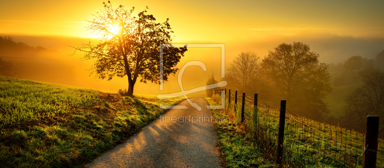 Bild-Nr.: 12485446 Malerische Landschaft im goldenen Morgenlicht erstellt von Smileus