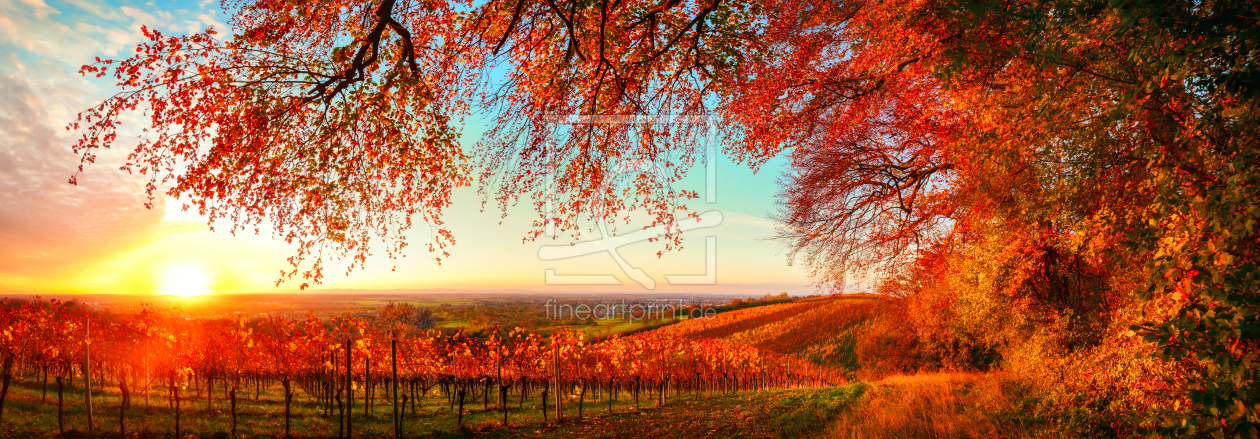 Bild-Nr.: 12485563 Herbstiches Panorama bei Sonnenuntergang erstellt von Smileus