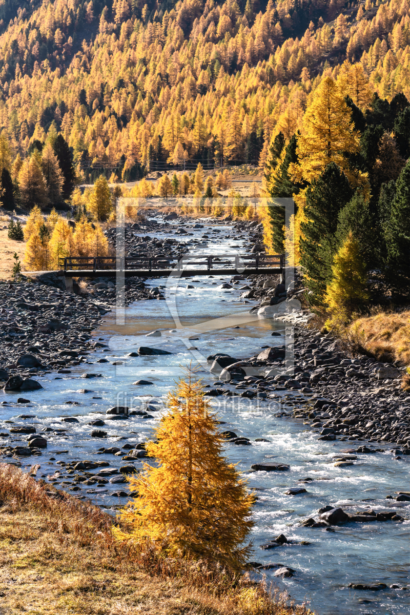Bild-Nr.: 12496345 Herbst erstellt von Achim Thomae