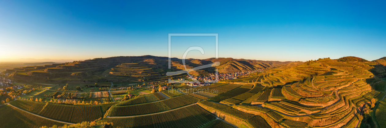 Bild-Nr.: 12497150 Luftbild Weinberge bei Oberbergen im Kaiserstuhl erstellt von dieterich