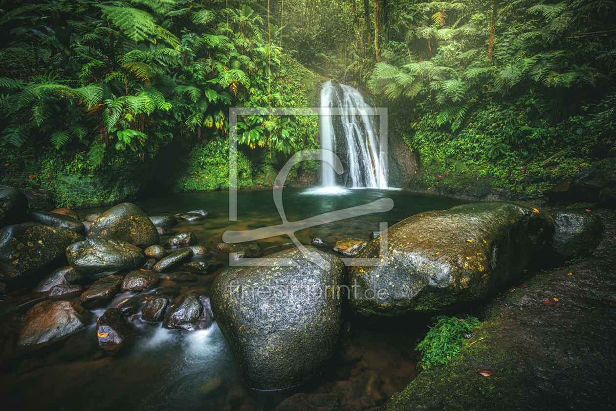 Bild-Nr.: 12503423 Guadeloupe Wasserfall im Dschungel erstellt von Jean Claude Castor