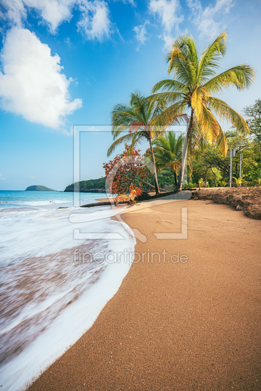 Bild-Nr.: 12504513 Guadeloupe Strand in der Karibik mit Palmen erstellt von Jean Claude Castor
