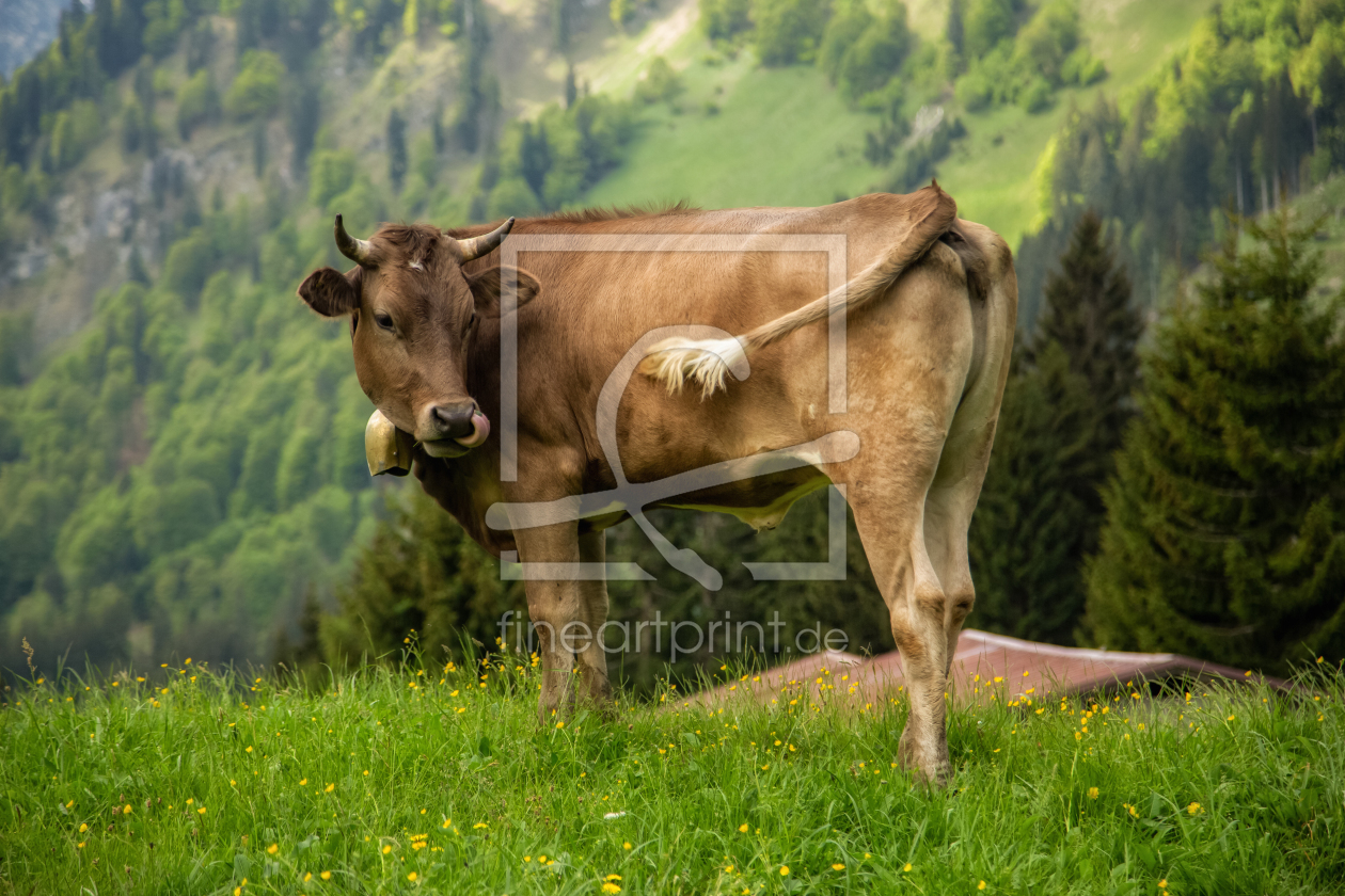 Bild-Nr.: 12505141 Eine braune Kuh auf einer grünen Wiese erstellt von SandraFotodesign