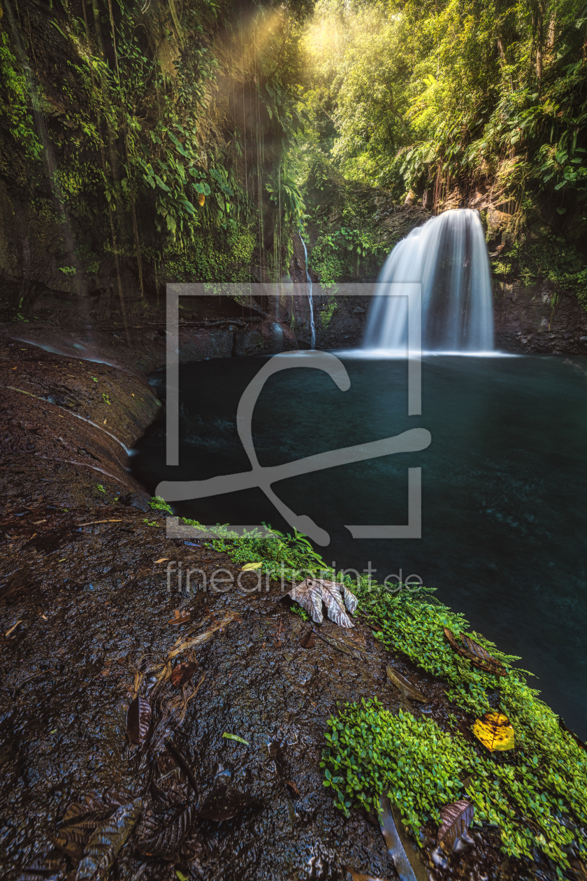 Bild-Nr.: 12506507 Wasserfall im Dschungel von Guadeloupe erstellt von Jean Claude Castor