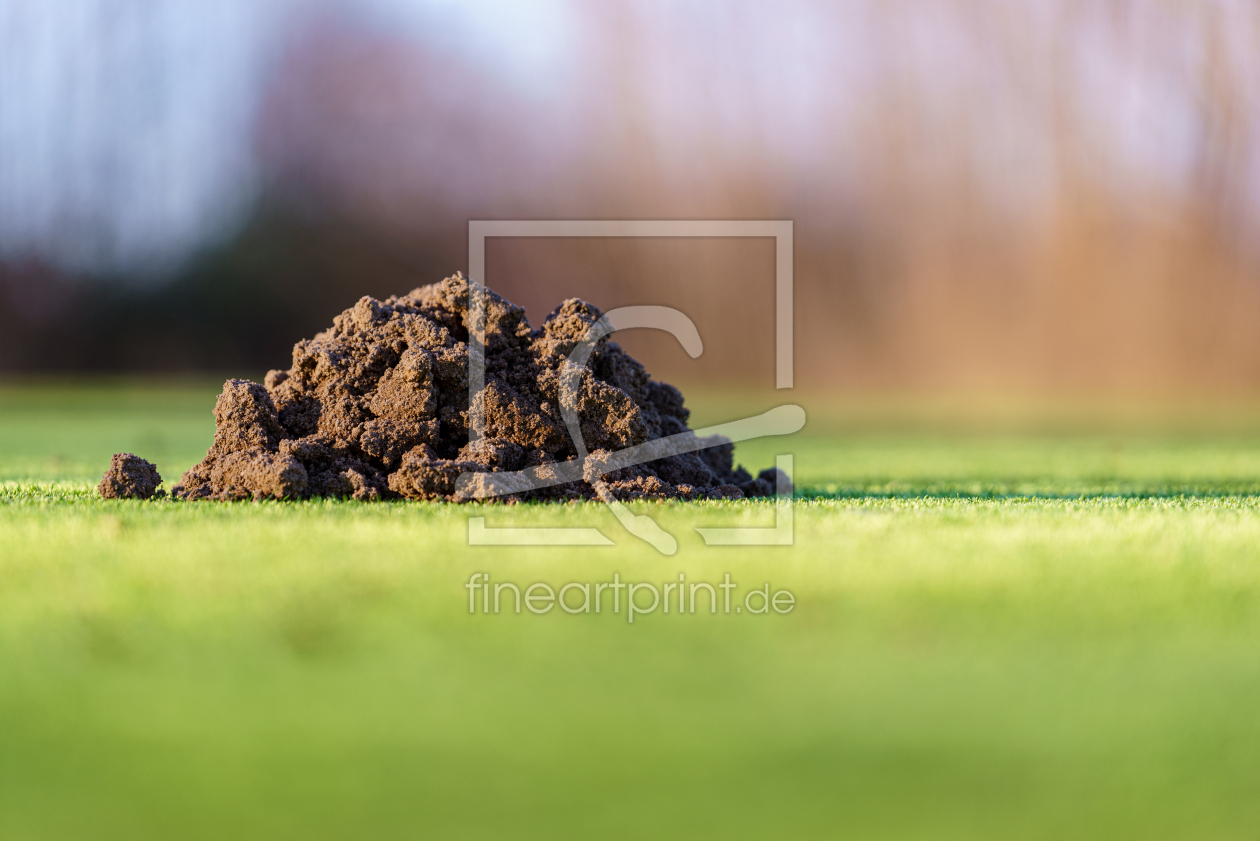 Bild-Nr.: 12542451 Golfer's Death erstellt von FotoDeHRO