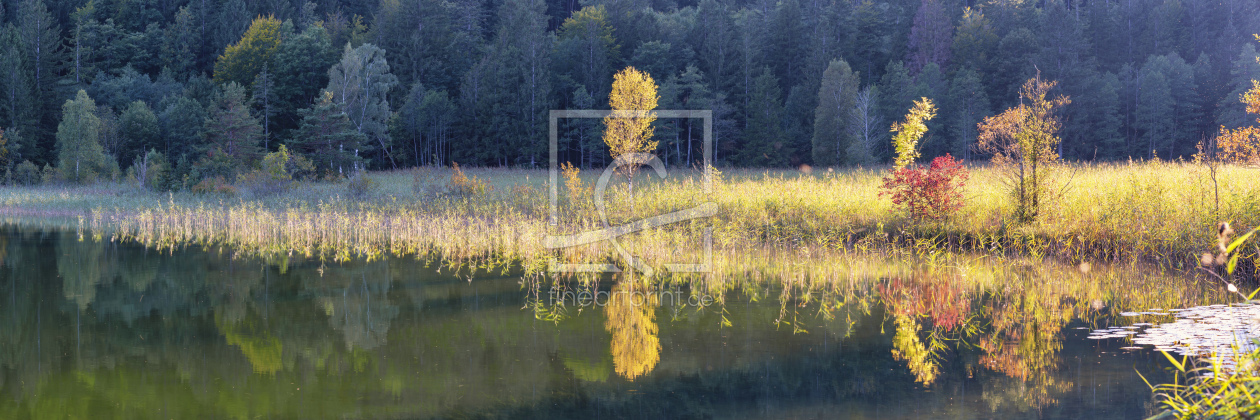 Bild-Nr.: 12547119 Schwansee im Herbst erstellt von Walter G. AllgÃ¶wer