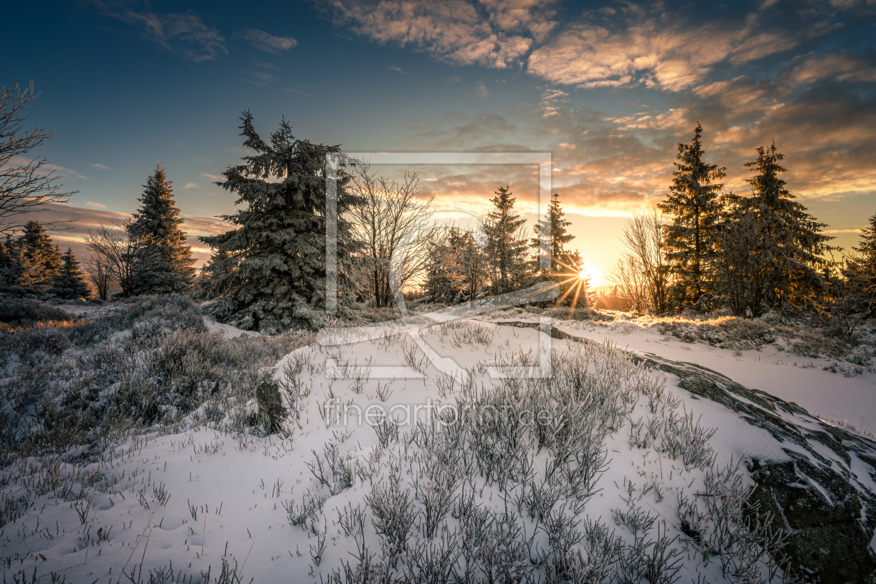 Bild-Nr.: 12549593 Winternatur im Harz erstellt von Steffen Henze