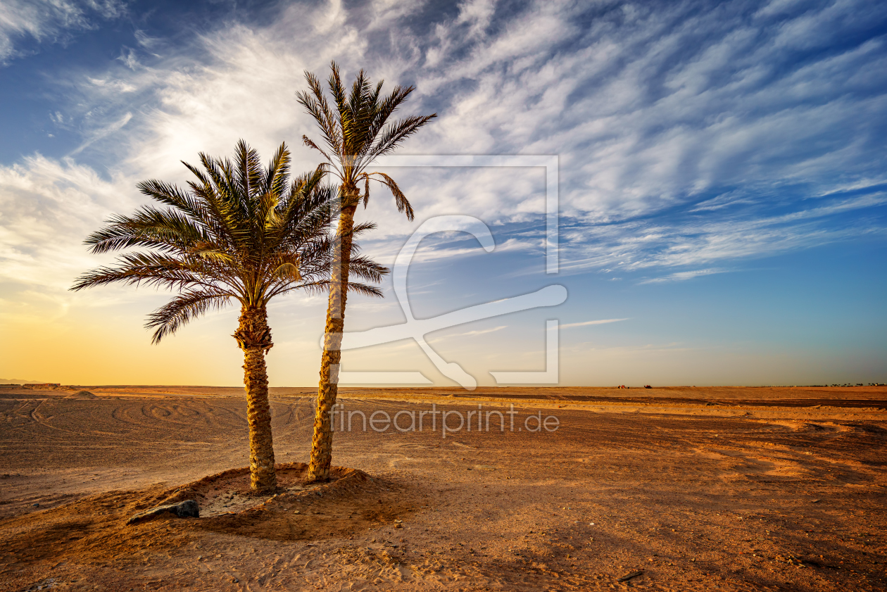 Bild-Nr.: 12584076 In The Desert erstellt von FotoDeHRO