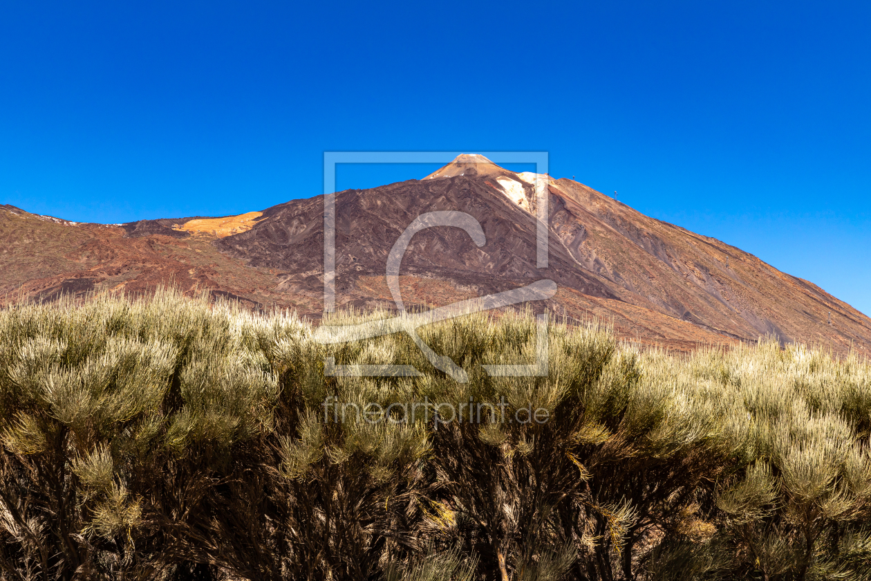 Bild-Nr.: 12590697 Vulkanlandschaft am Teide erstellt von alexwolff68