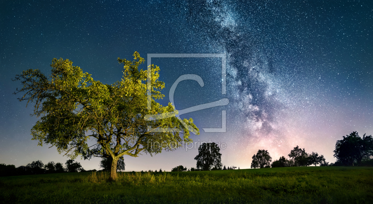 Bild-Nr.: 12626544 Nachtlandschaft mit einem beleuchteten Baum und de erstellt von Smileus