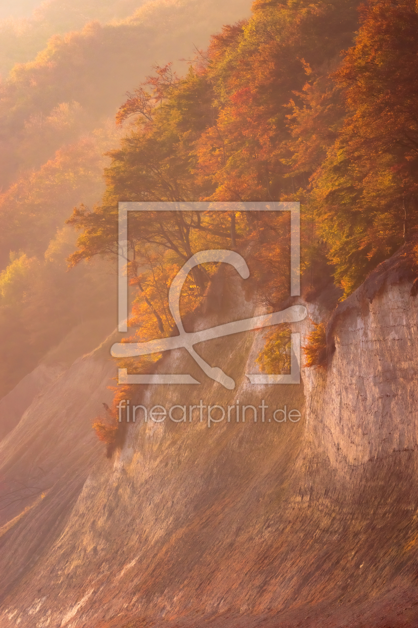 Bild-Nr.: 12627638 KreidekÃ¼ste im Herbst erstellt von Martin Wasilewski