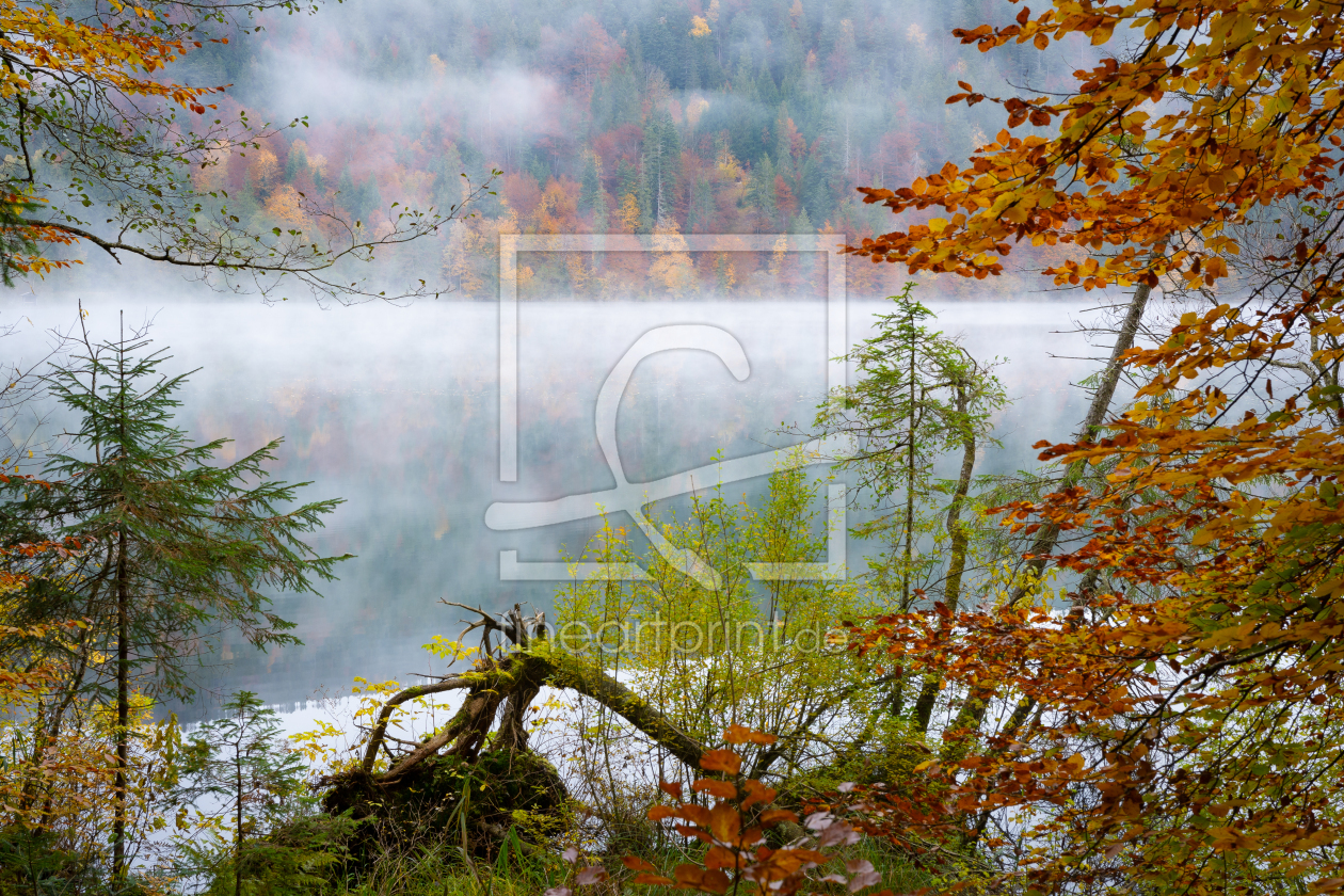 Bild-Nr.: 12628957 Herbsttag am See erstellt von Martin Wasilewski
