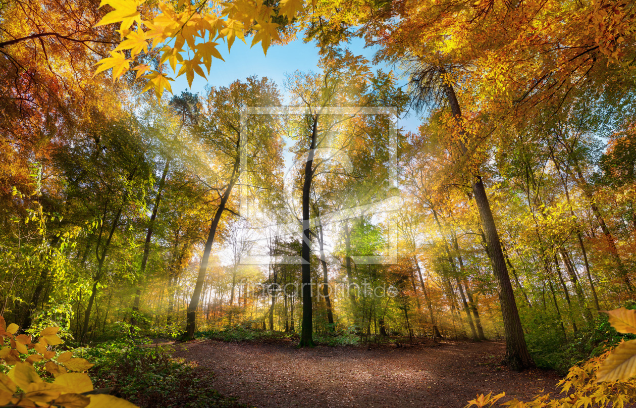 Bild-Nr.: 12629771 Leuchtende Herbstszene in einer Lichtung im Wald erstellt von Smileus