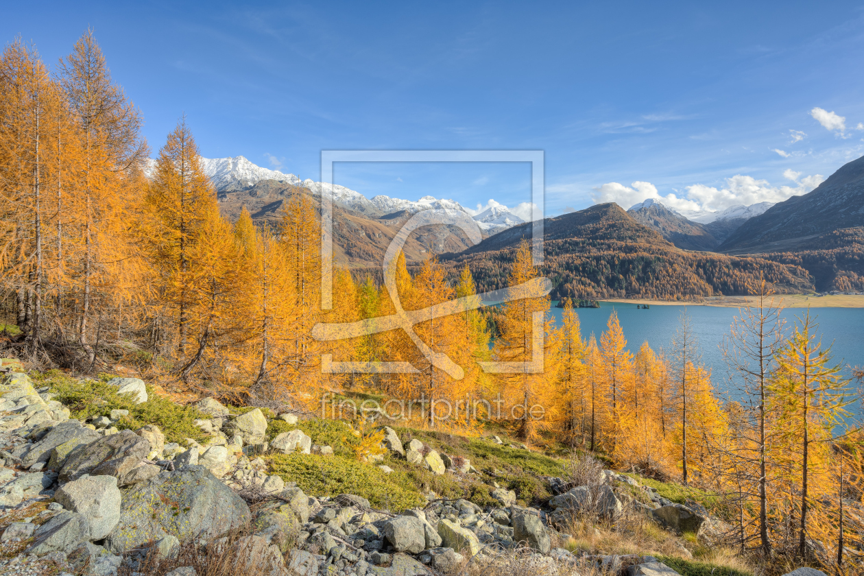 Bild-Nr.: 12644489 Herbst am Silsersee im Engadin in der Schweiz erstellt von Michael Valjak