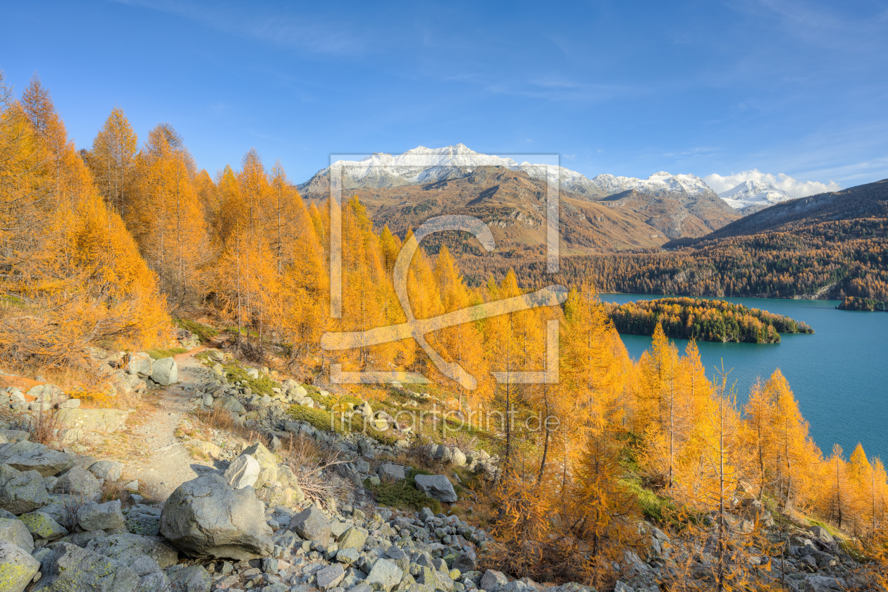 Bild-Nr.: 12648511 Herbst im Engadin in der Schweiz erstellt von Michael Valjak