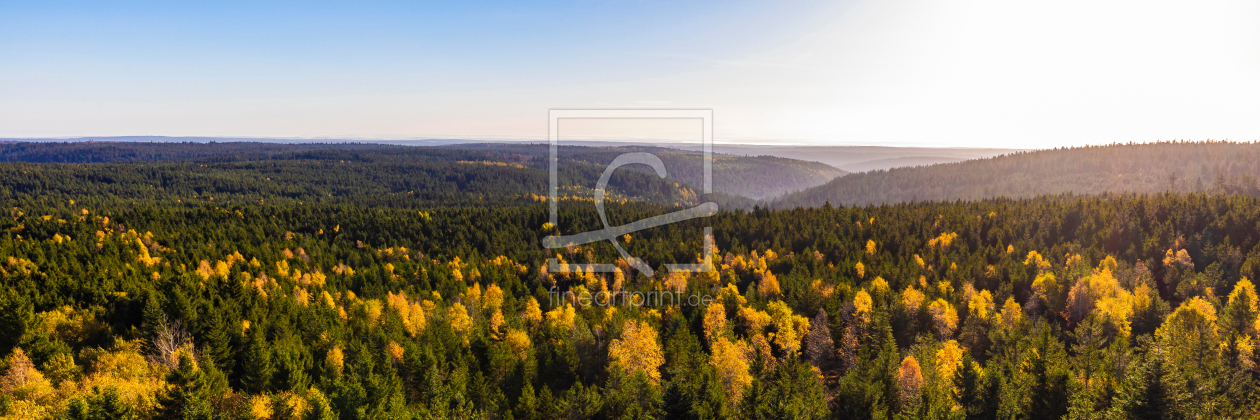 Bild-Nr.: 12652433 Panorama Wald bei Kaltenbronn im Schwarzwald erstellt von dieterich
