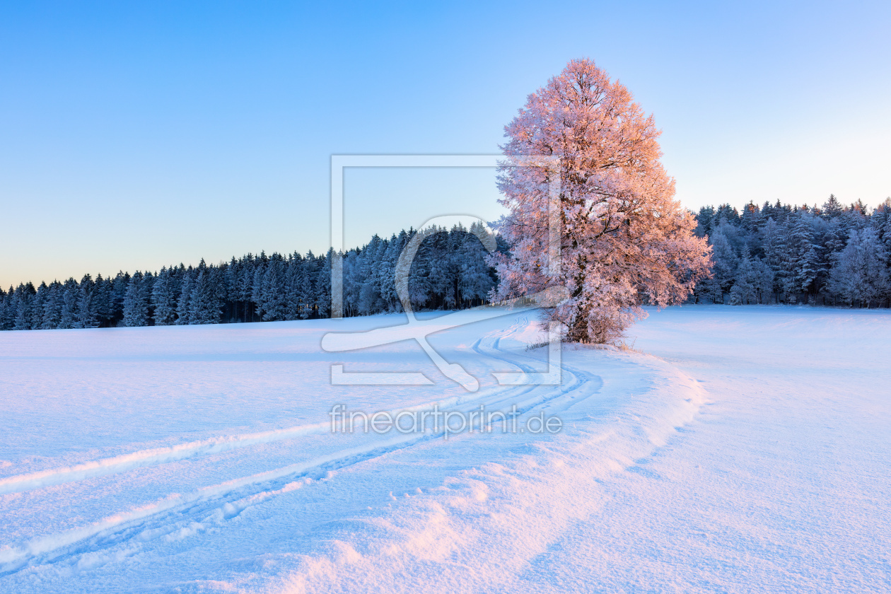 Bild-Nr.: 12684027 Winterzauber im Erzgebirge erstellt von Daniela Beyer