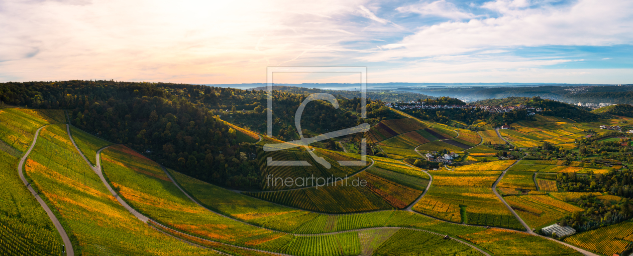 Bild-Nr.: 12688082 Luftaufnahme der Weinberglandschaft um Stuttgart erstellt von raphotography88