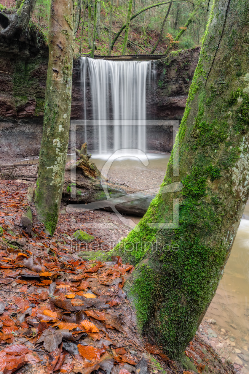 Bild-Nr.: 12688128 Wasserfall in der HÃ¶rschbachschlucht erstellt von Michael Valjak