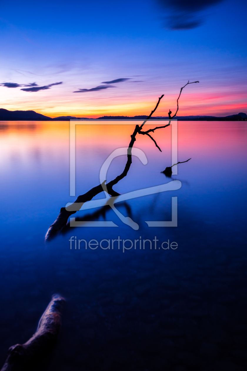 Bild-Nr.: 12690455 Sonnenuntergang am Bodensee mit Ast im Wasser  erstellt von Kunze Kunze