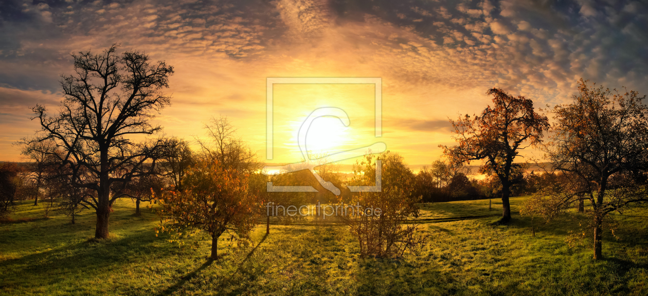 Bild-Nr.: 12690919 Goldener Sonnenaufgang Ã¼ber lÃ¤ndlicher Szene erstellt von Smileus
