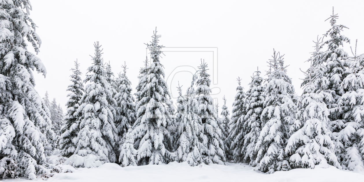 Bild-Nr.: 12705549 Winter im Schwarzwald erstellt von dieterich