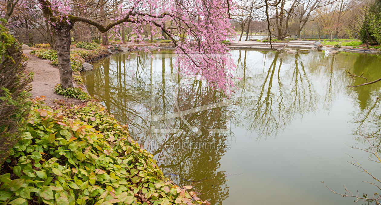 Bild-Nr.: 12708126 Japanischer Garten erstellt von SusaZoom