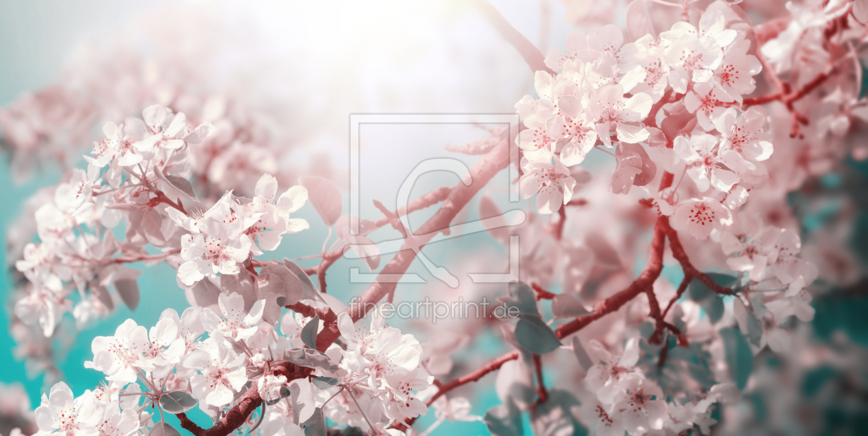 Bild-Nr.: 12711497 Weiße Apfelblüten im verträumten Sonnenlicht erstellt von Smileus