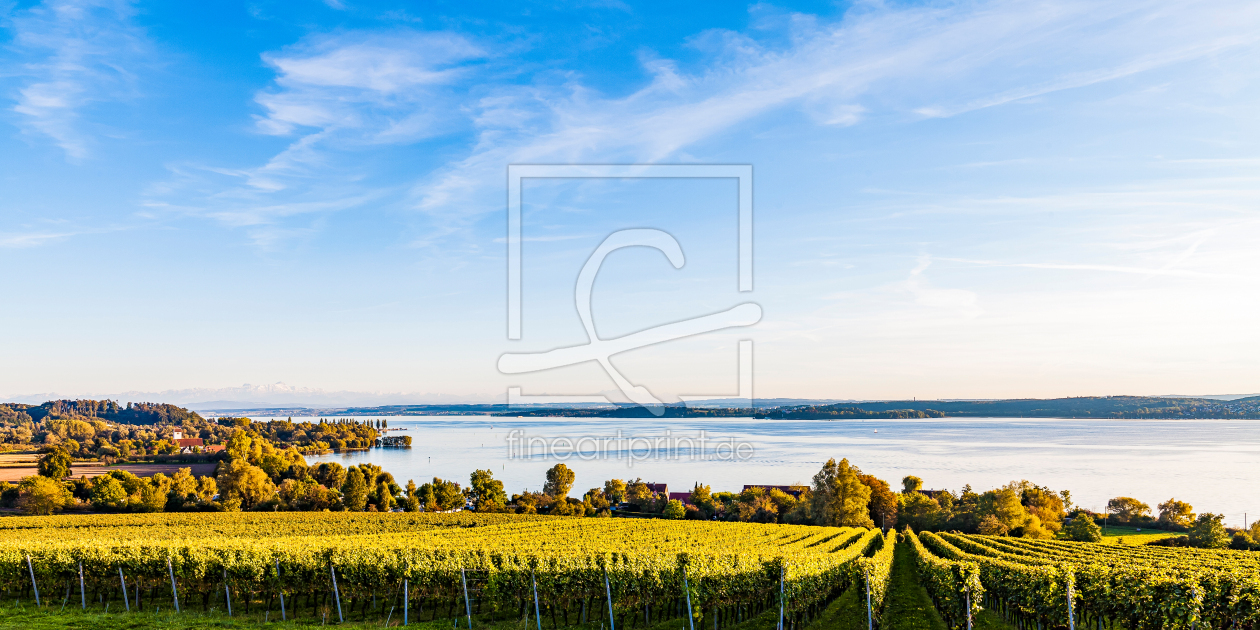Bild-Nr.: 12724709 Weinbau bei Ãœberlingen am Bodensee erstellt von dieterich