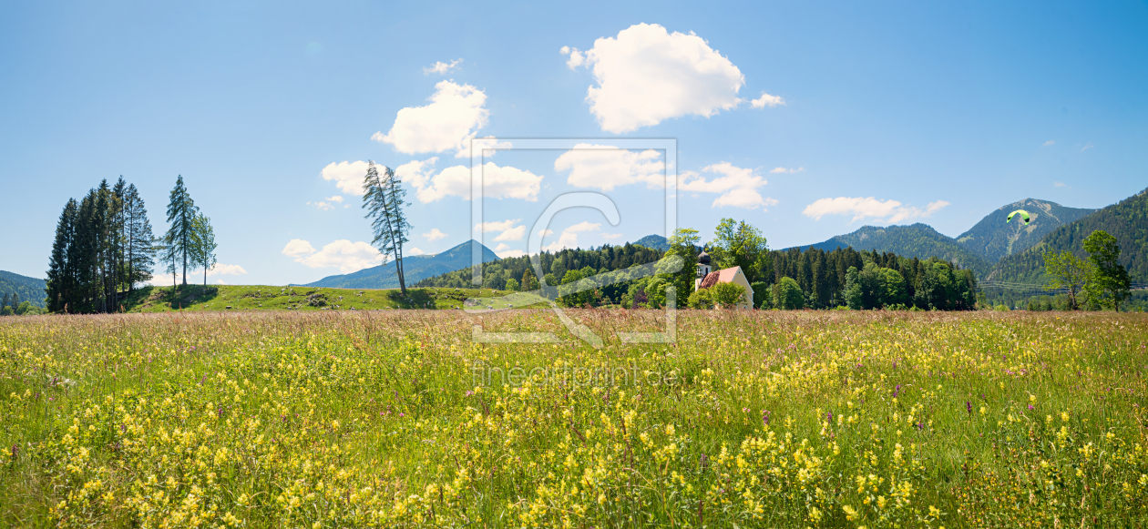 Bild-Nr.: 12725569 Wildblumenwiese am Walchensee erstellt von SusaZoom