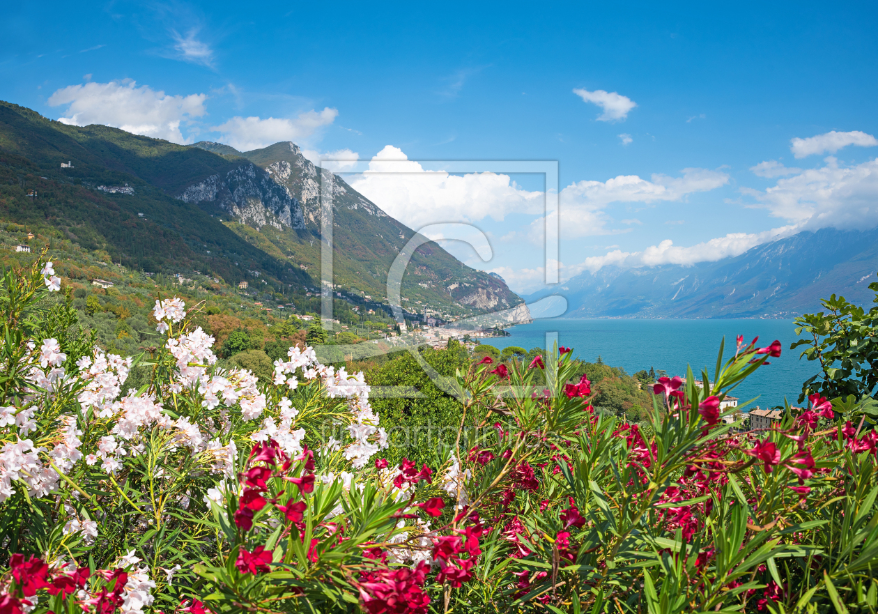 Bild-Nr.: 12726050 Mediterrane Landschaft Gardasee erstellt von SusaZoom