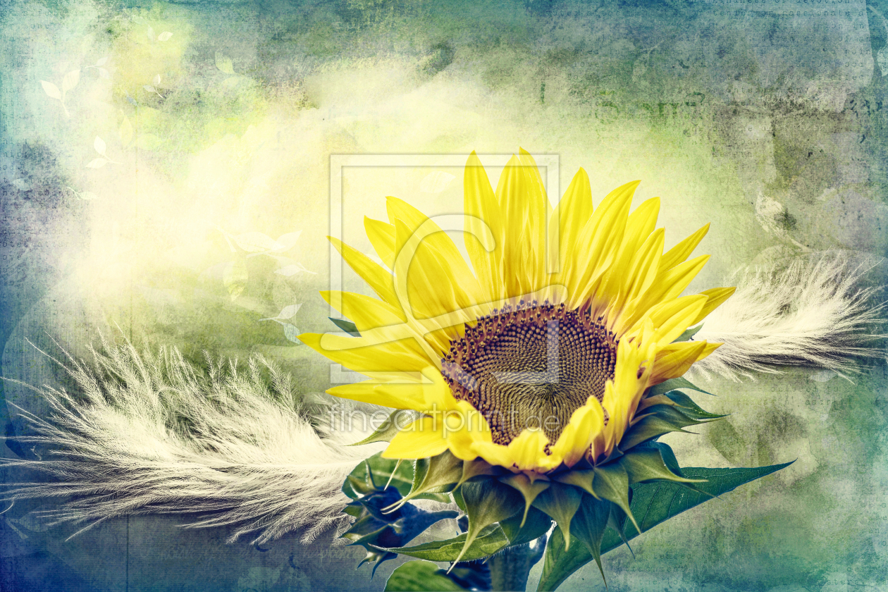 Bild-Nr.: 12727017 Sonnenblume Vintage erstellt von XYRIUS
