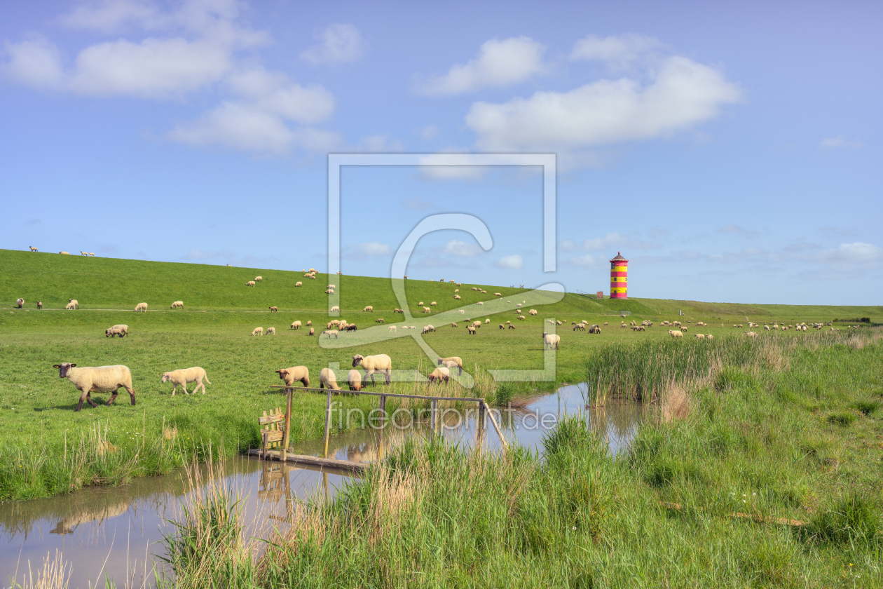 Bild-Nr.: 12738809 Schafherde beim Pilsumer Leuchtturm Ostfriesland erstellt von Michael Valjak