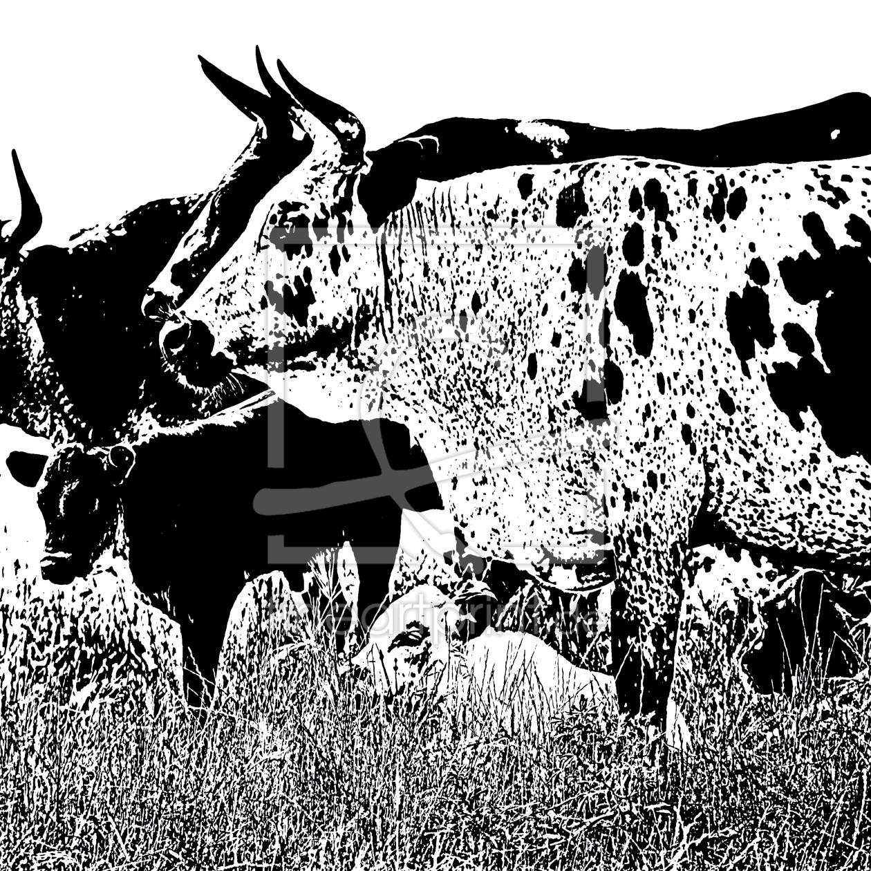 Bild-Nr.: 12740941 Kuehe und Kaelber auf der Weide schwarz weiss erstellt von Schwob
