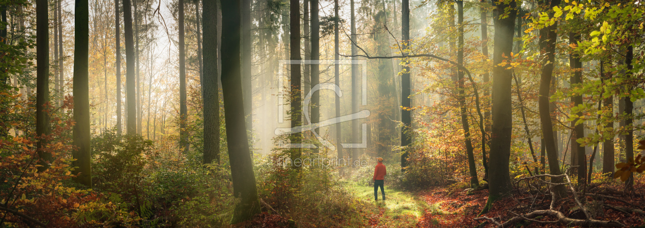 Bild-Nr.: 12750458 Fabelhafte neblige Landschaft im Herbstwald erstellt von Smileus