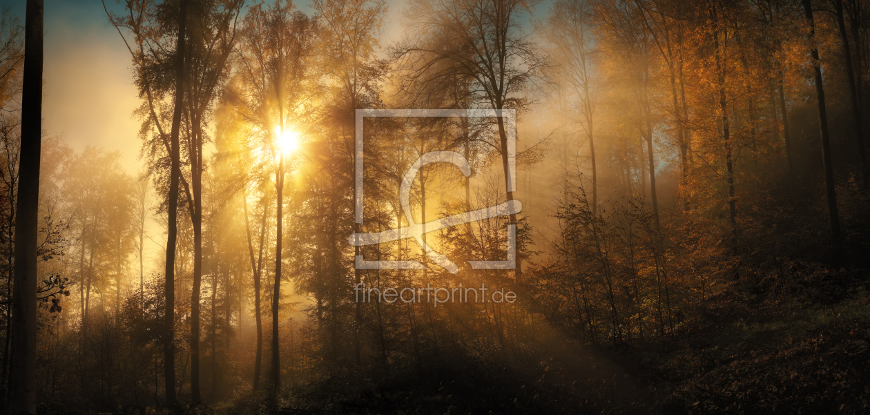 Bild-Nr.: 12753103 Herbstwald im sonnenbeschienenem Nebel erstellt von Smileus